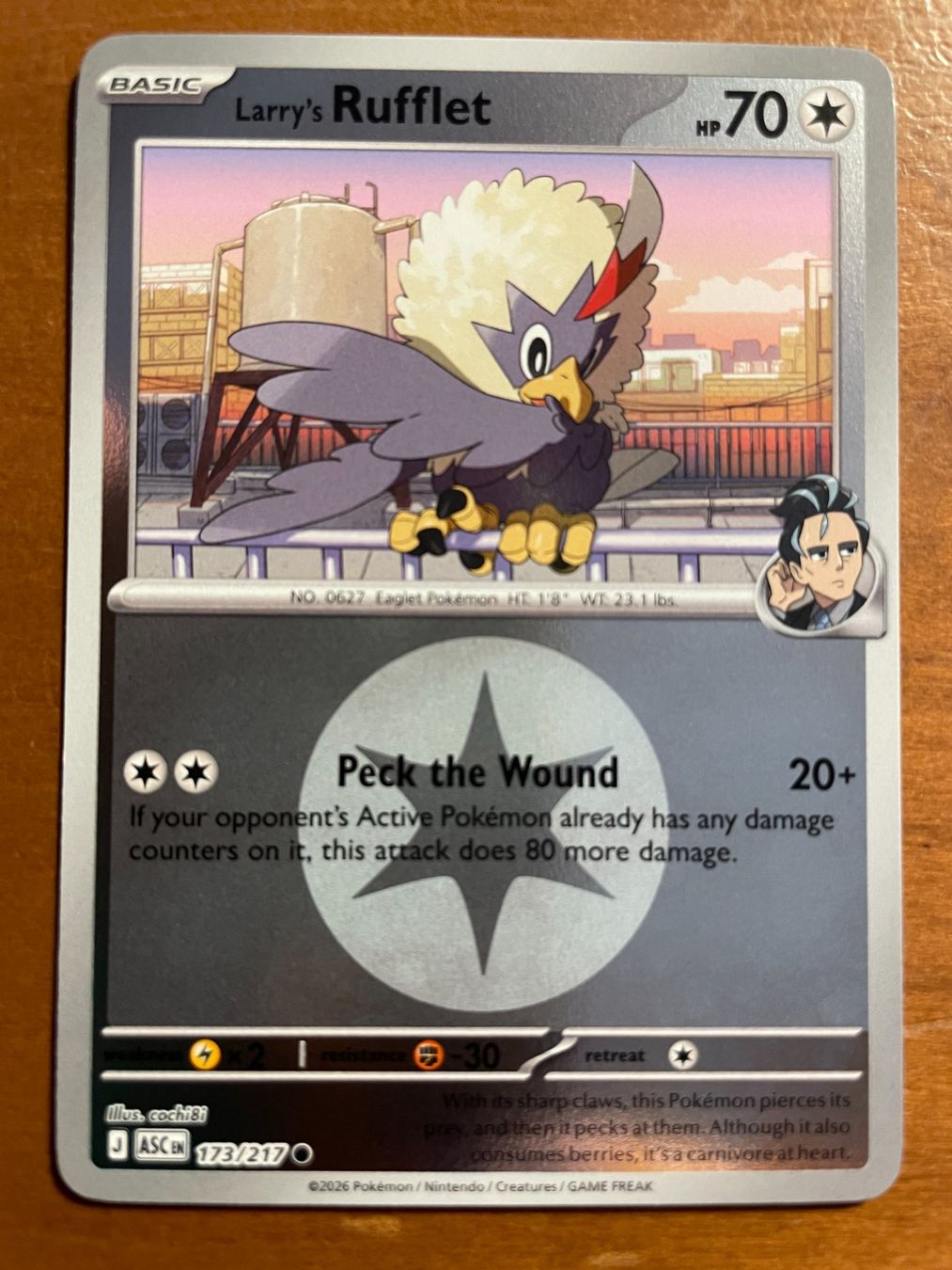 Pokémon Carte collezionabili: Pokemon Larry's Ruflet Reverse (Versand gratis) – Nuovo (secondo la descrizione) da Chur venduto da Angerson
