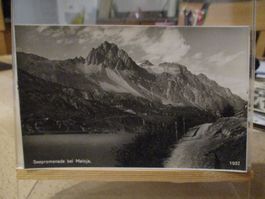 Seepromenade Maloja Postkarte 2