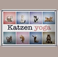 🔥 KATZEN YOGA Blechschild 🩷 12x18cm OVP 🔥