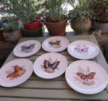 6 Teller Hasler Schmetterlinge