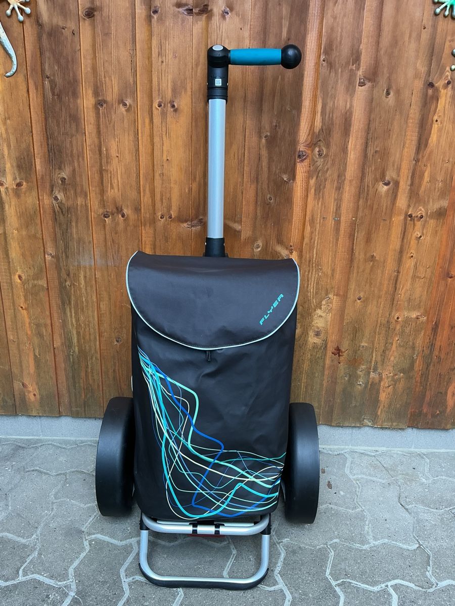 Biciclette: Fleyer  E -Bike neuwertig  – Usato da Oberbuchsiten venduto da Tesin3