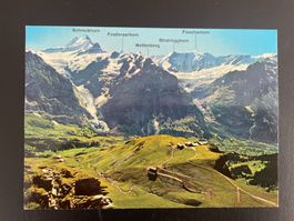 AK BE Grindelwald, Schreckhörner, Mettenberg, Fiescherhörner