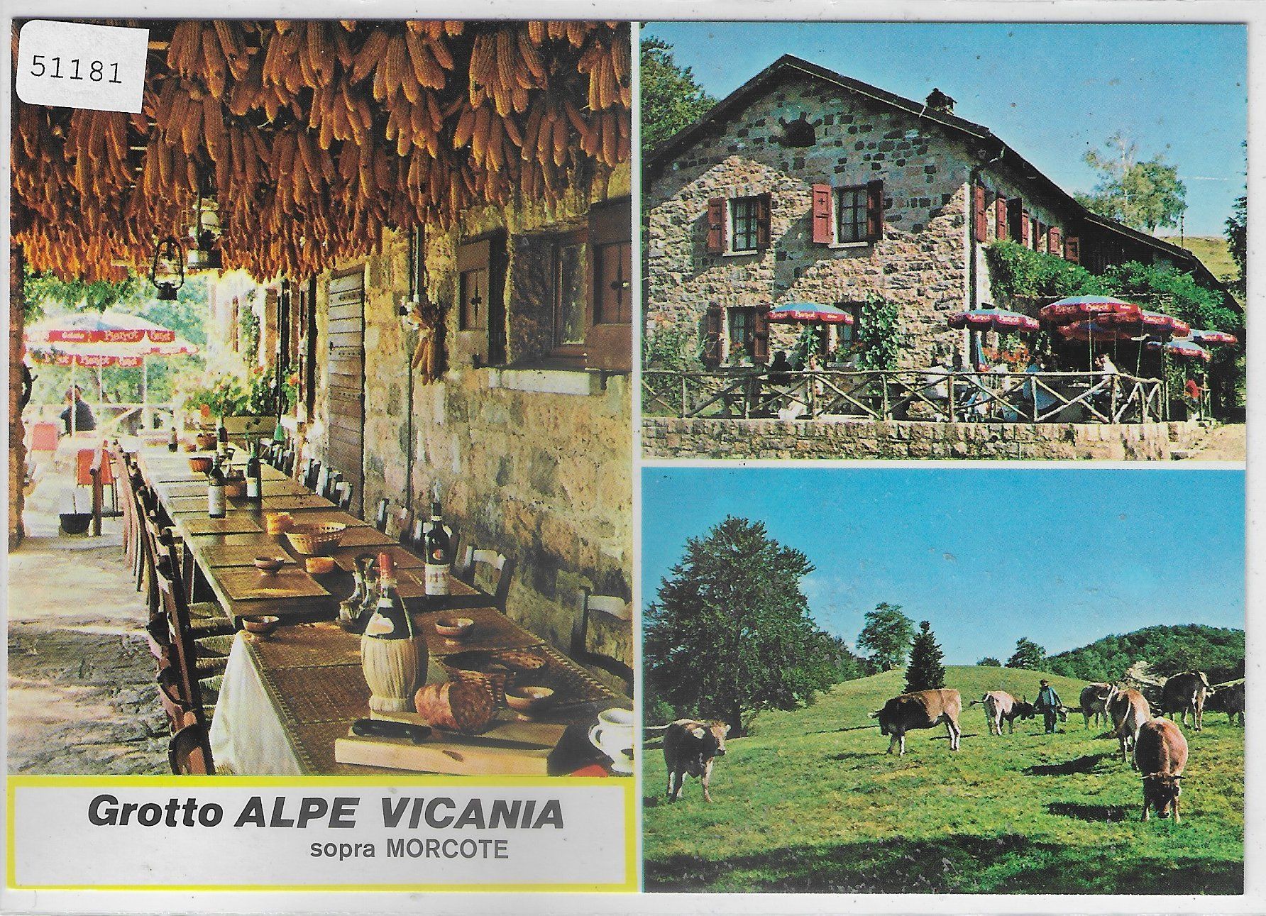 Ansichtskarten: Grotto Alpe Vicania sopra Morcote – Gebraucht aus Ettingen von Kartenplanet