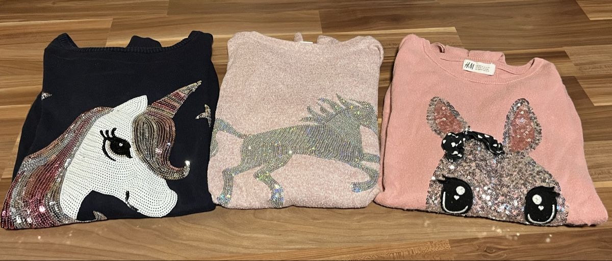 Maglioni & Felpe: 3 Mädchen Pullover H&M Einhorn Pferd Grösse 158/164 – Usato da Lungern venduto da Chispa1982