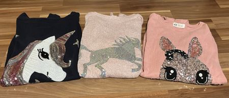 3 Mädchen Pullover H&M Einhorn Pferd Grösse 158/164
