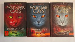 Warrior Cats, 3. Bände, in die Wildnis, Geheimnis des Waldes