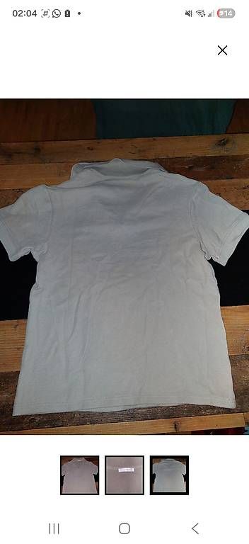 Polo-Shirts: Zara Poloshirt mit Reissverschluss – Gebraucht aus Enggistein von sar_b8hz