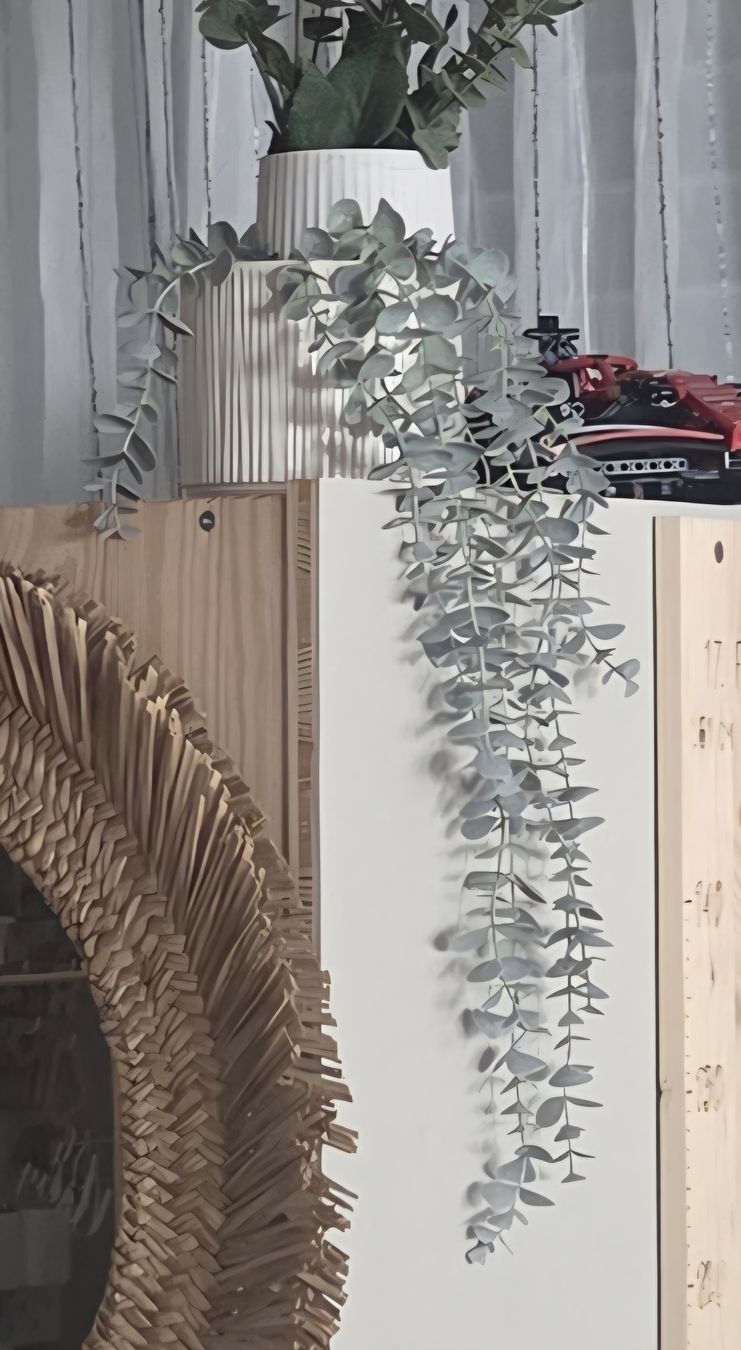 Pflanzen & Samen: Fejka Topfpflanze Eukalyptus, 9 cm Durchmesser, 3 Stk – Neu (gemäss Beschreibung) aus Nendeln von Zopfie_