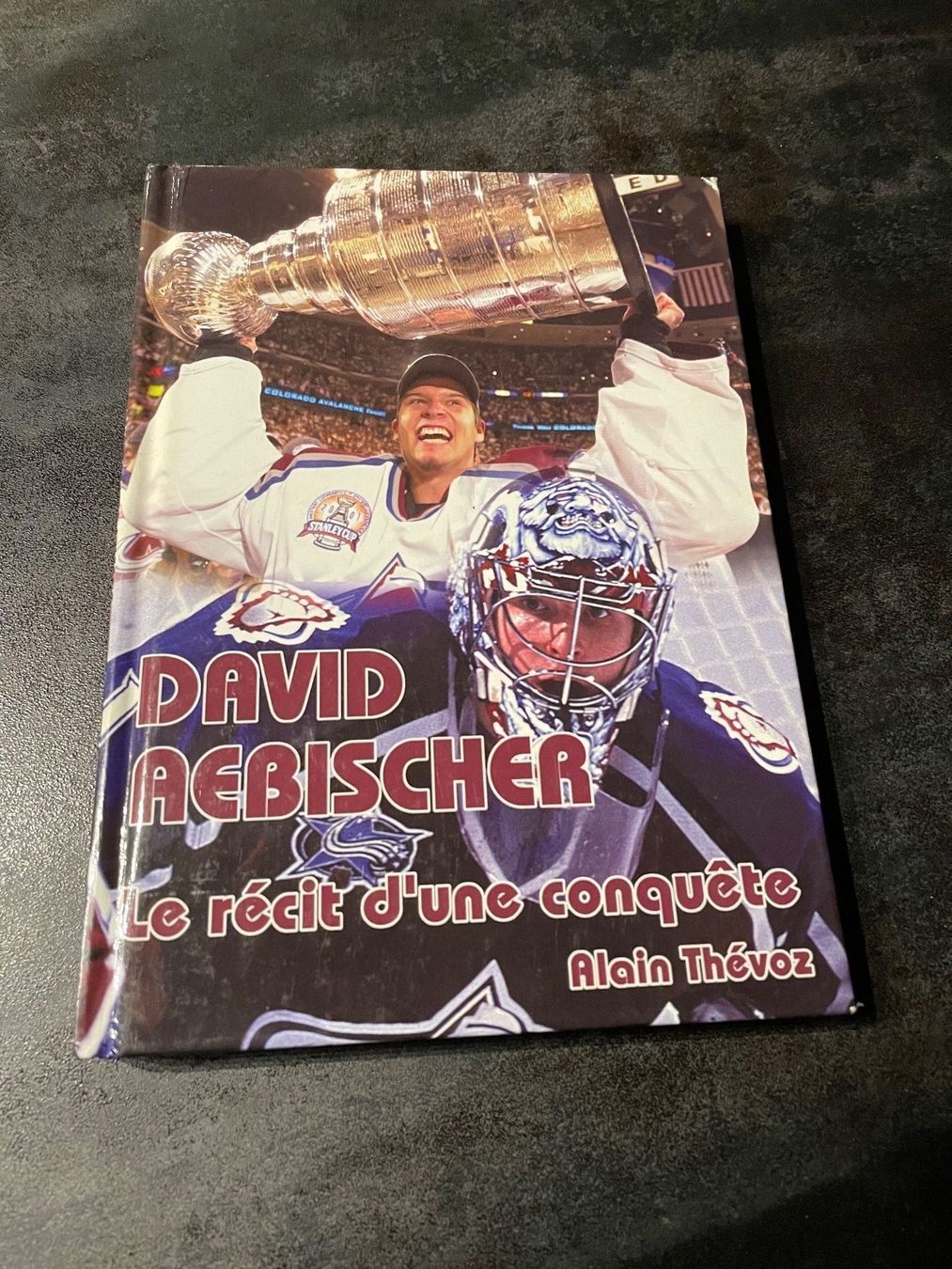 Libri: Livre Hockey David Aebischer Signé – Usato da Vallamand venduto da Bricbracbroc82