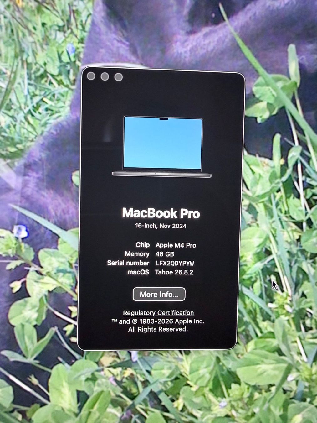 Apple Portables: Macbook Pro 16 – D'occasion à Opfikon par Jooni6958 3