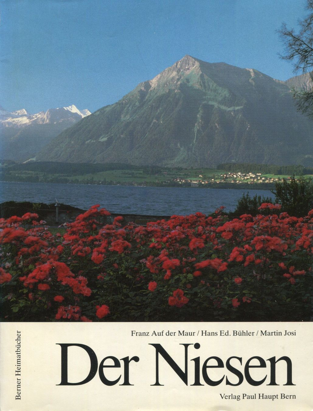 Libri: Niesen, Niesenbahn, Berner Heimatbuch – Usato da Aarau venduto da Elmaar41