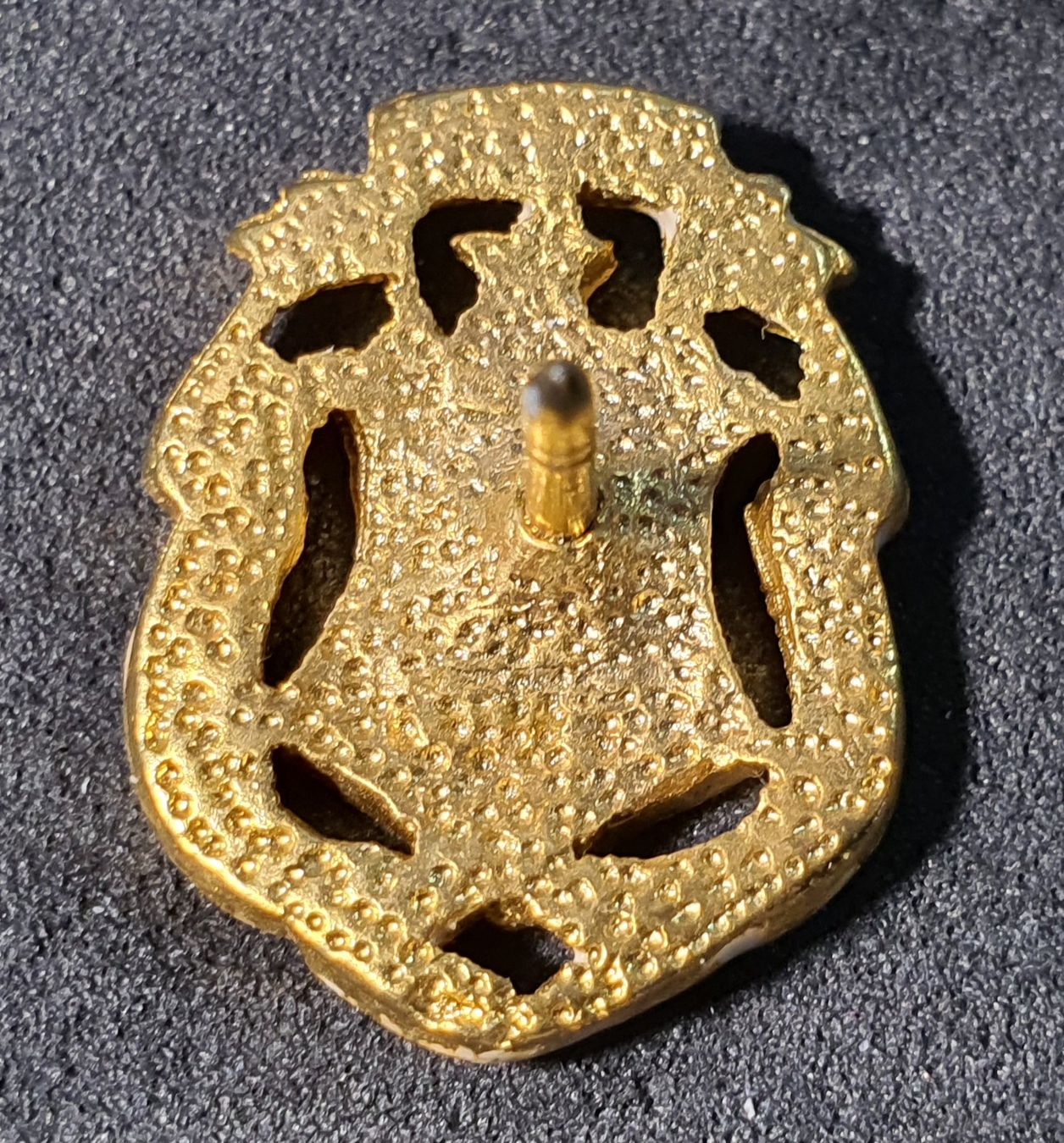 Placchette & Badge: W630 - Pin Salla Indivisa Manent – Usato da Reinach BL venduto da Boston-Verkauf 1