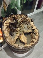 Zimmer Brunnen Kalk-Stein Beton  im Holzfass Dicht funktion