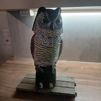 Realistische Eulenattrappe zur Vogelabwehr im Garten – Top!