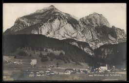AK Wildhaus, Ortsansicht mit Schafberg