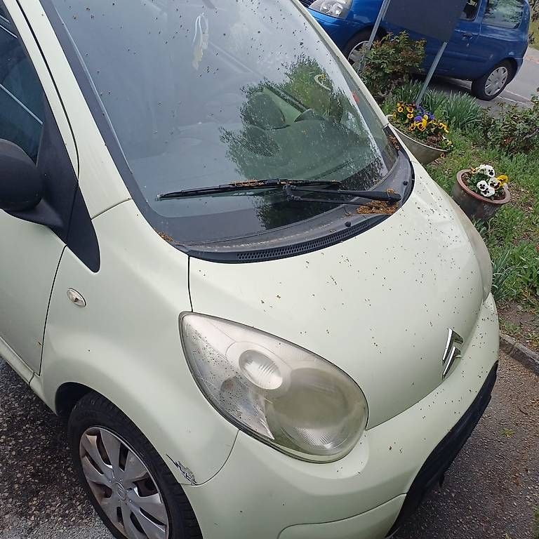 Automobili: Ctroen C1, 2010, petite voiture – Usato da Renens VD venduto da sba_5ssb 2