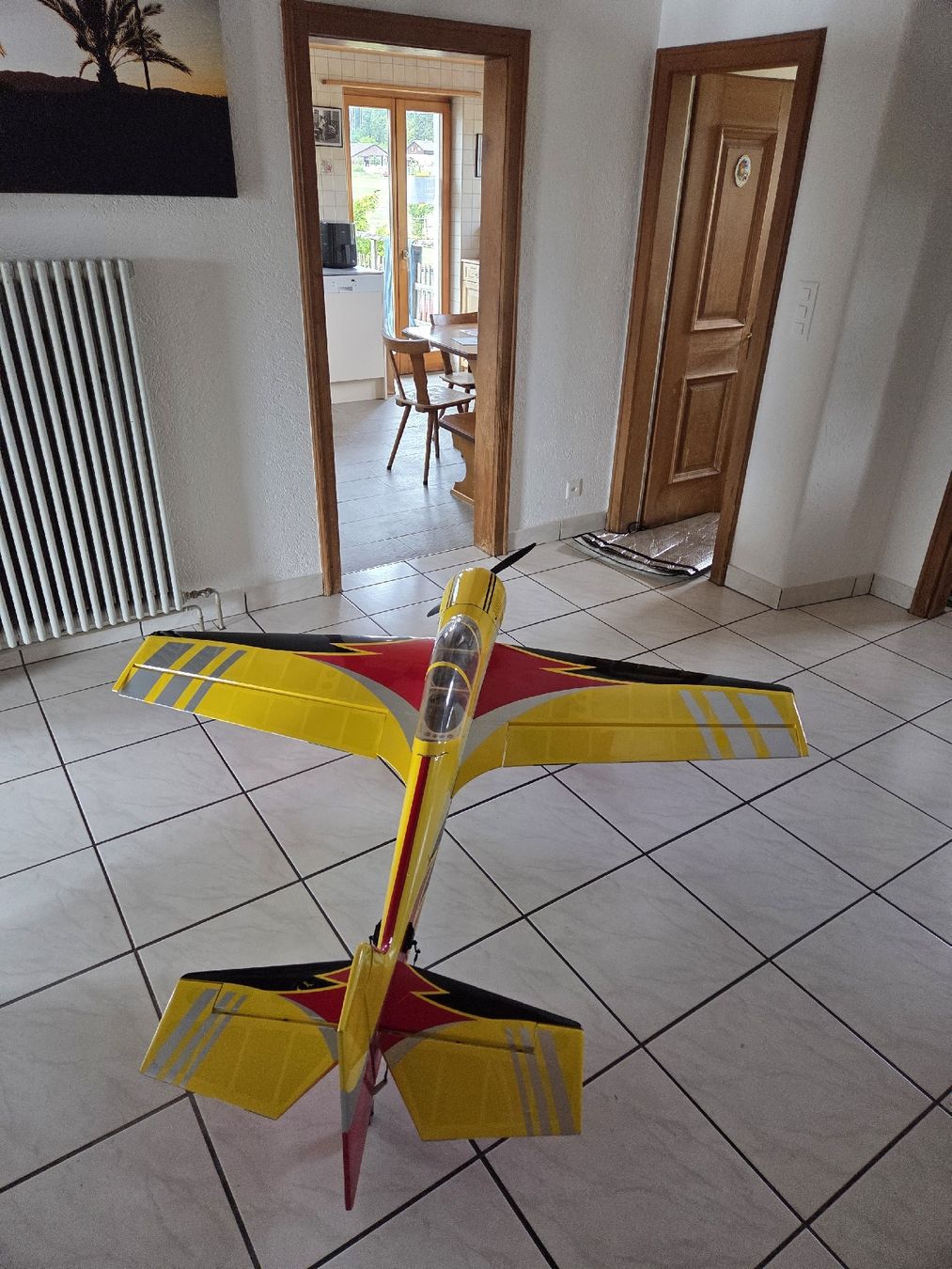 RC Modellbau: Sebart Sukhoi s140 E – Gebraucht aus Besenbüren von oli_6ts9 3