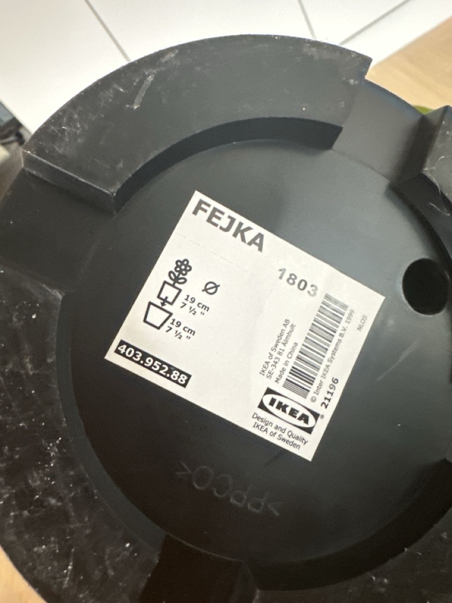 Monstera Knstliche Pflanze von Ikea fejka (Gebraucht) in Biel/Bienne fr  CHF 15  nur Abholung auf Ricardo kaufen