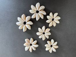 MUSCHEL BLUMEN - 6 STÜCK