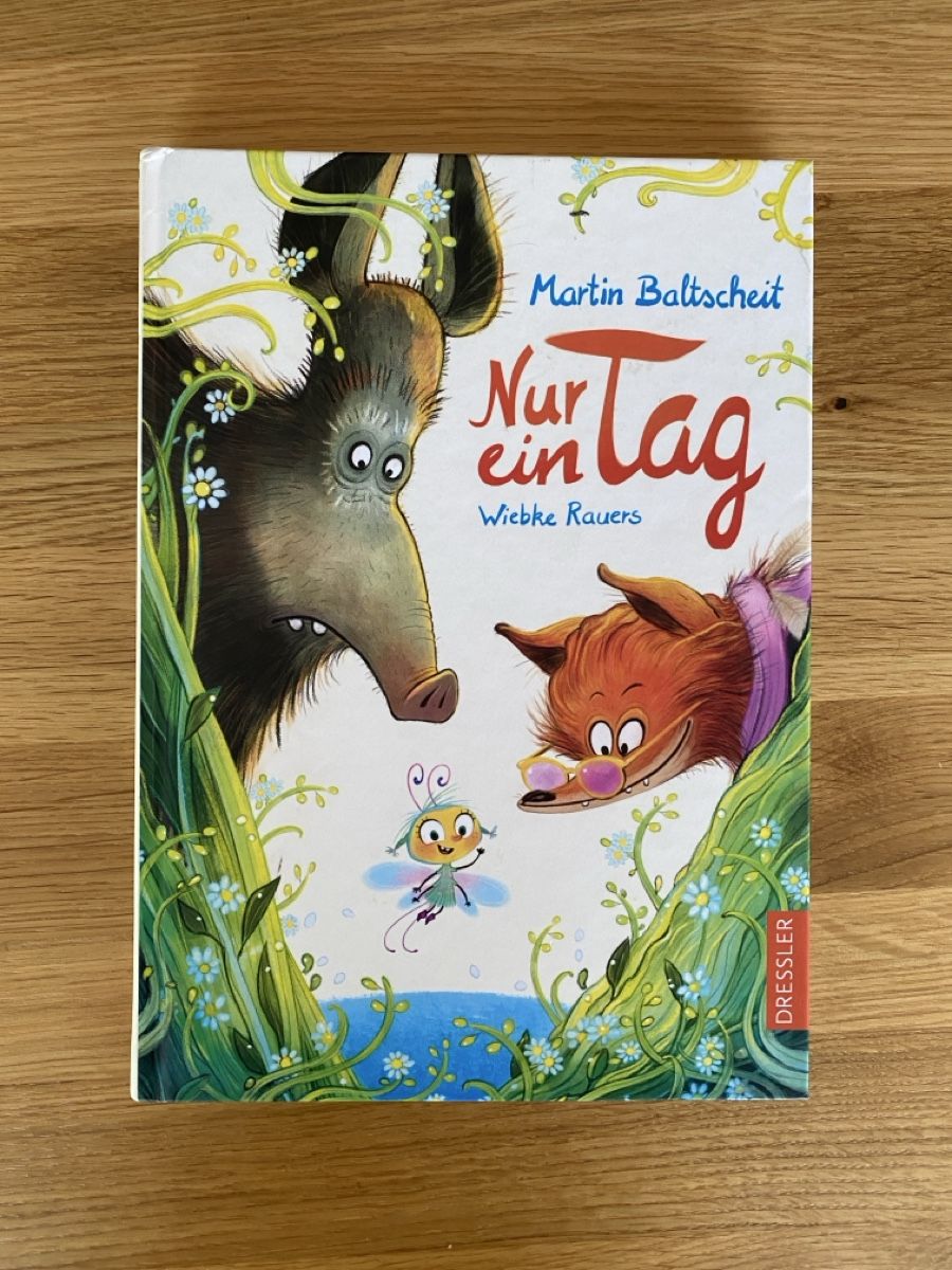 Libri: «Nur ein Tag» von Martin Baltscheit – Nuovo (secondo la descrizione) da Büren an der Aare venduto da marco6