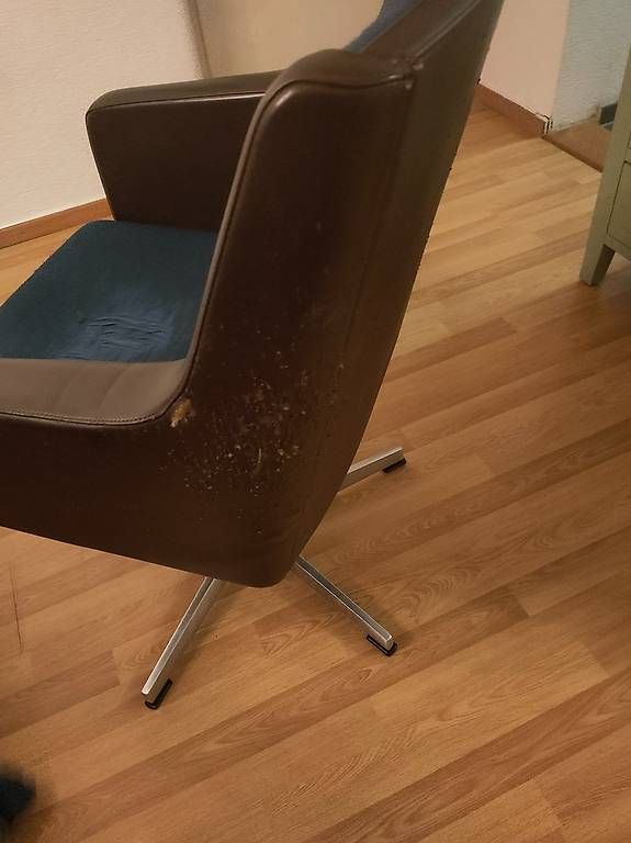 Sessel: Drehsessel / Stuhl – Gebraucht aus Bern von joh_6wkj 1