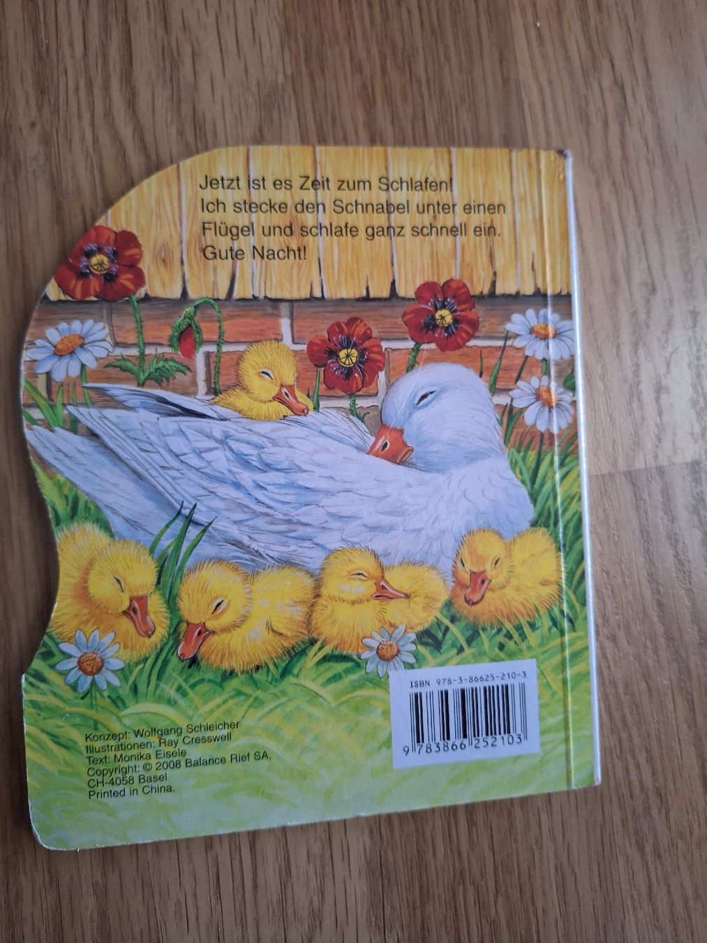 Libri: Kinderbuch Die kleine Ente  – Usato da Stettlen venduto da CySpocy 1