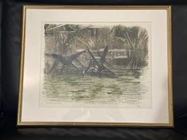 Gravure originale d'oiseaux signée Robert Hainard 1983 38/66