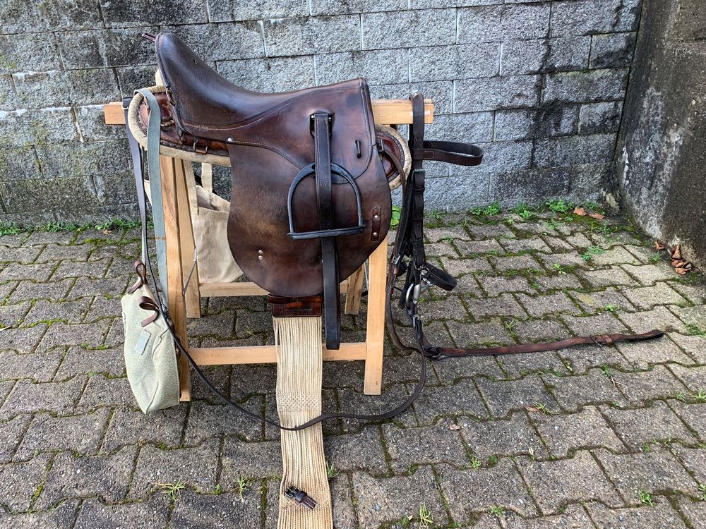 PIONEER Bareback-Sattel Wildleder 50x45cm - Italienischer Reitsattel Mit Memory Foam & Neoprengurt