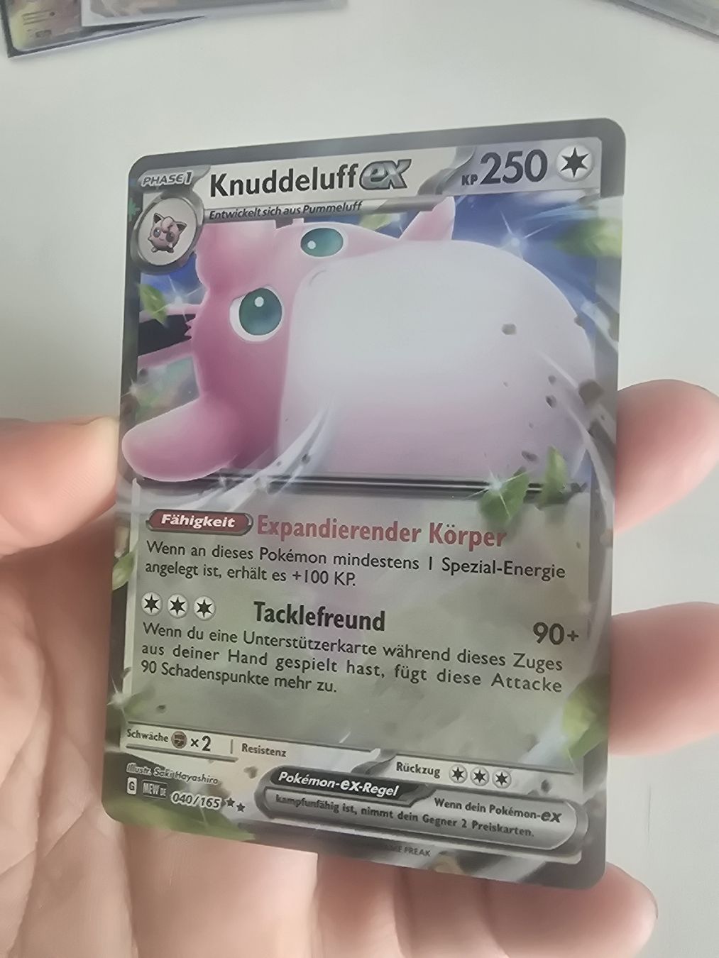 Pokémon Carte collezionabili: Pokemon Knuddeluff ex, DE, 2023 – Nuovo (secondo la descrizione) da Pfäffikon SZ venduto da gmw_8nk9 2