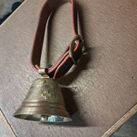 Kleine Schweizer Glocke