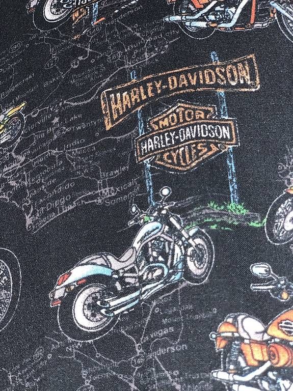 Camicie: Original Harley-Davidson Hemd – Usato da Basel venduto da Hannes-Tizian 1