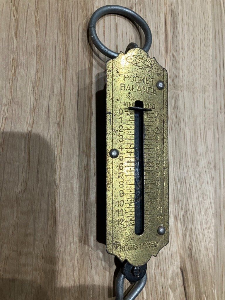Bilance e pesi: Reise-Gepäck Waage – Usato da Neunkirch venduto da autoscooter57 3