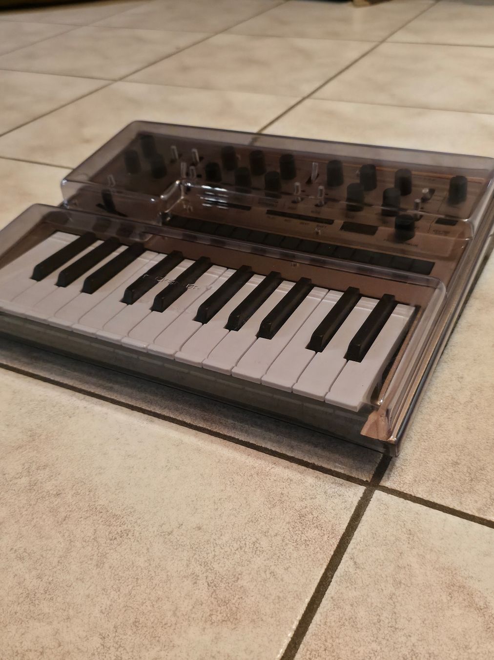 Korg Musikinstrumente: Korg Monologue Gold – Gebraucht aus Freidorf TG von NicotheVotta 2