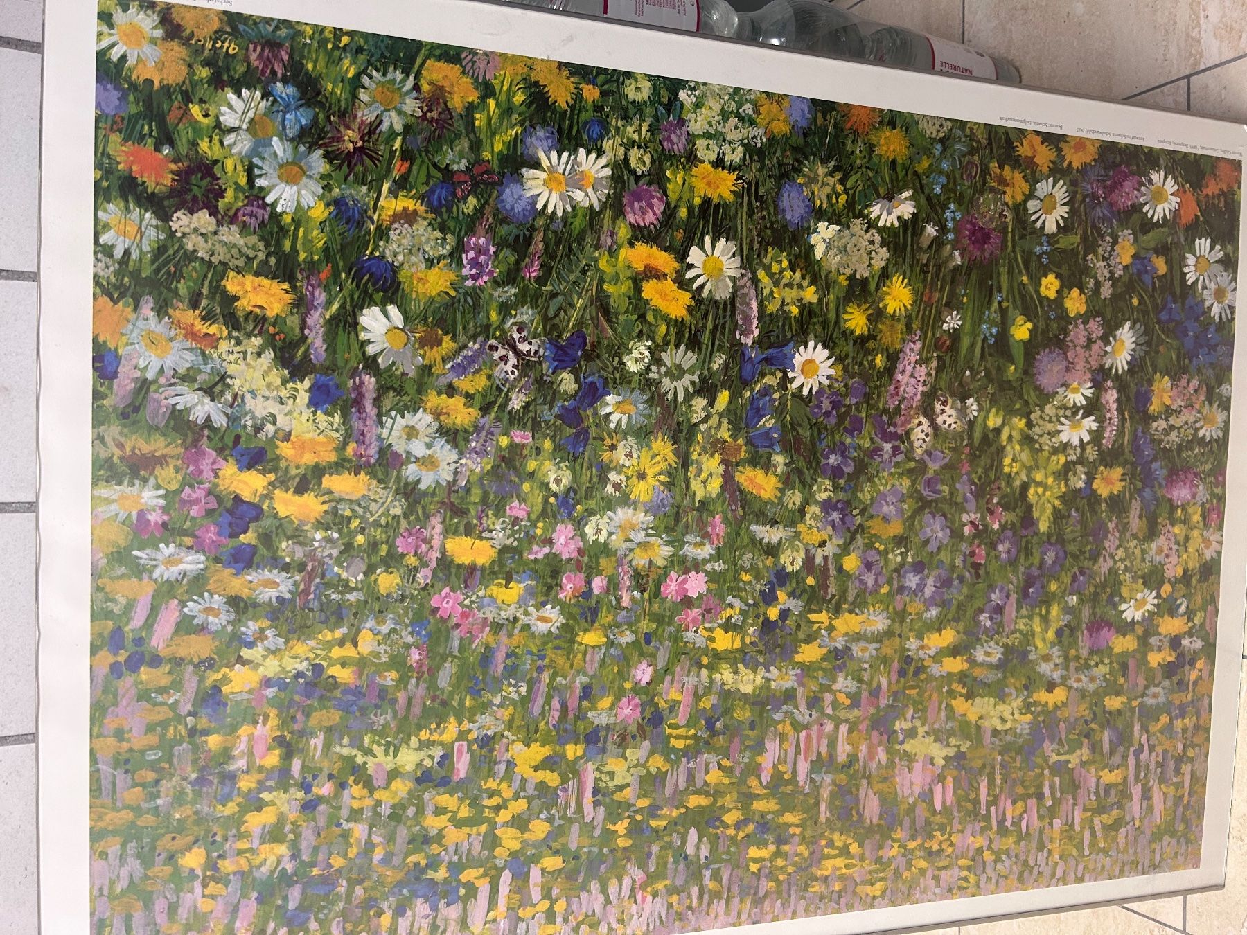 Poster & Bilder: Bild – Gebraucht aus Würenlos von malluiss