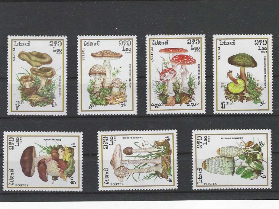 Tutti i francobolli: LAOS 1985 ** PILZE – Nuovo (secondo la descrizione) da Dintikon venduto da bonita099