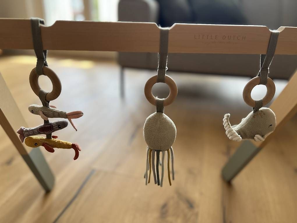 Spielmatte: Spielbogen Little Dutch – Gebraucht aus Würenlos von cel_2s29 2