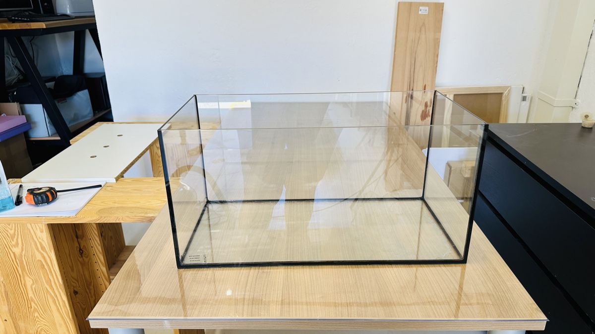 Terrario: Terrarium – Usato da Orpund venduto da Catangle 1