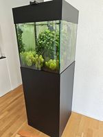 Pflanzenaquarium Raumteiler Unikat - 168cm / 160l