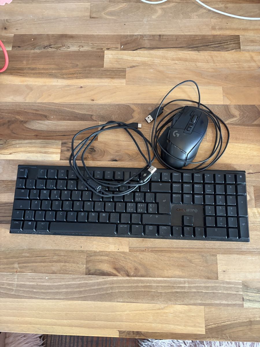 PC: Pc Gaming Setup – Usato da Würenlingen venduto da Spacefake 2