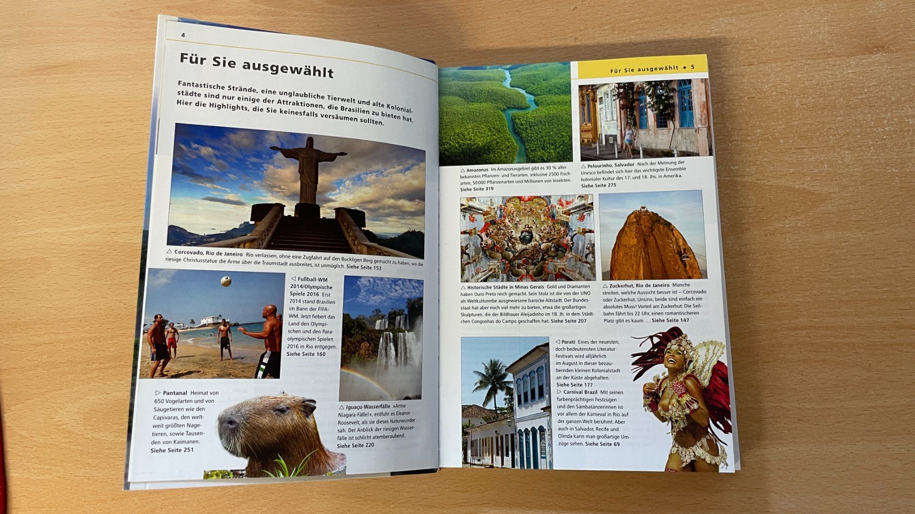 Libri: Brasilien - Apa Guide – Usato da Glattfelden venduto da flomiking 5