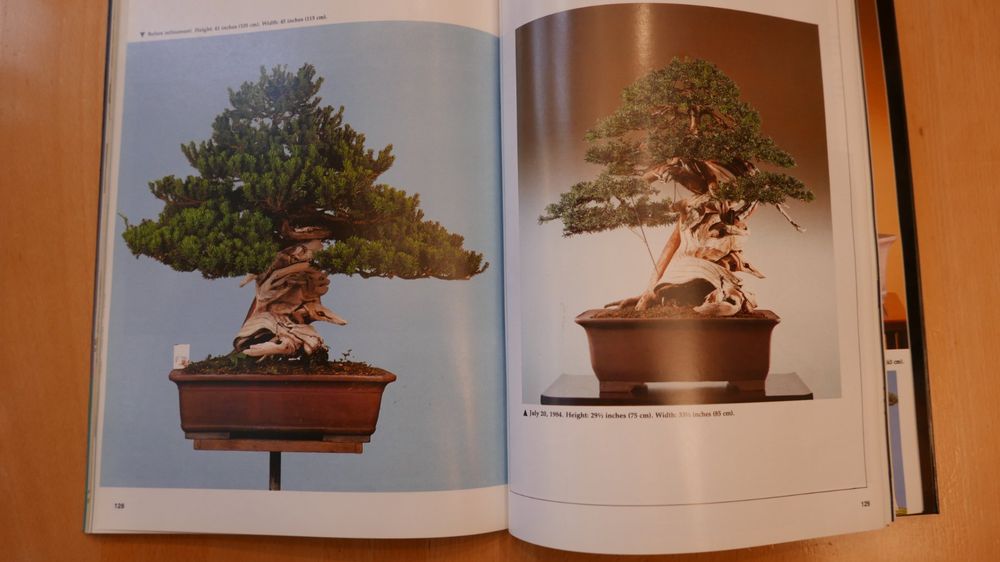 Buch The Bonsai Art of Kimura Kaufen auf Ricardo