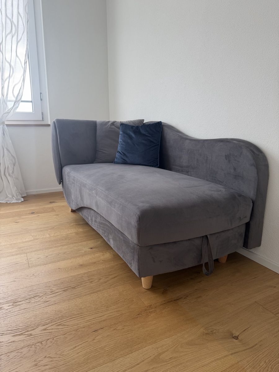 Divani: Chase-Lounge – Usato da Wetzikon ZH venduto da Crudeli_66