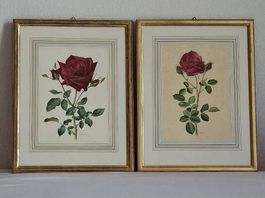 Zwei Rosenbilder von Anne Marie Trechslin
