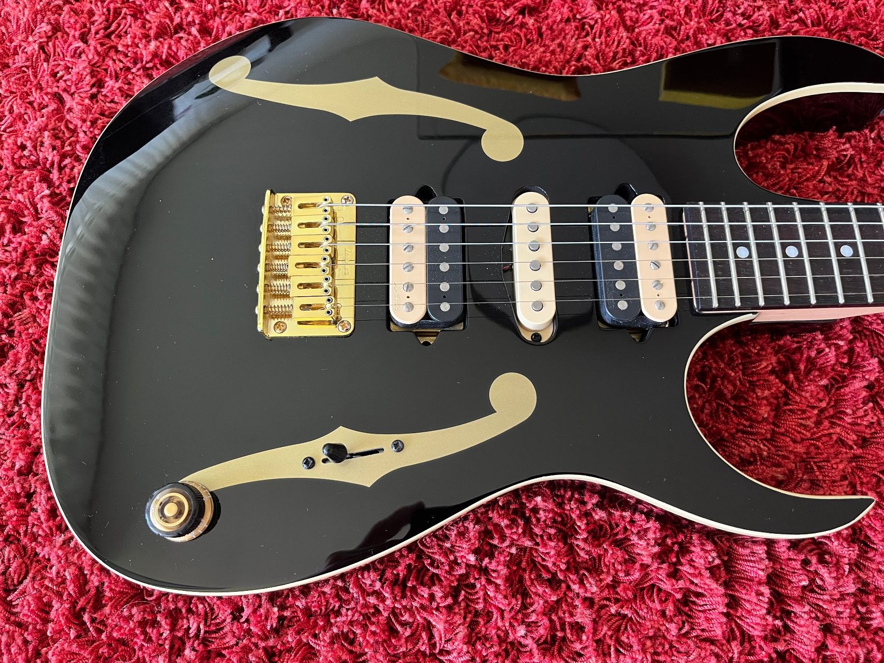 Ibanez Strumenti musicali: Ibanez PGM50 – Usato da Windisch venduto da Daredevil7 3