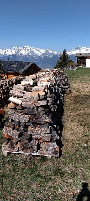 Articoli in legno: 5,5 stères de bois de feu à vendre – Usato da Mase venduto da olma24 1