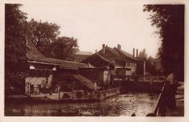 Ansichtskarte BIEL SCHWANENKOLONIE 27.7.1926