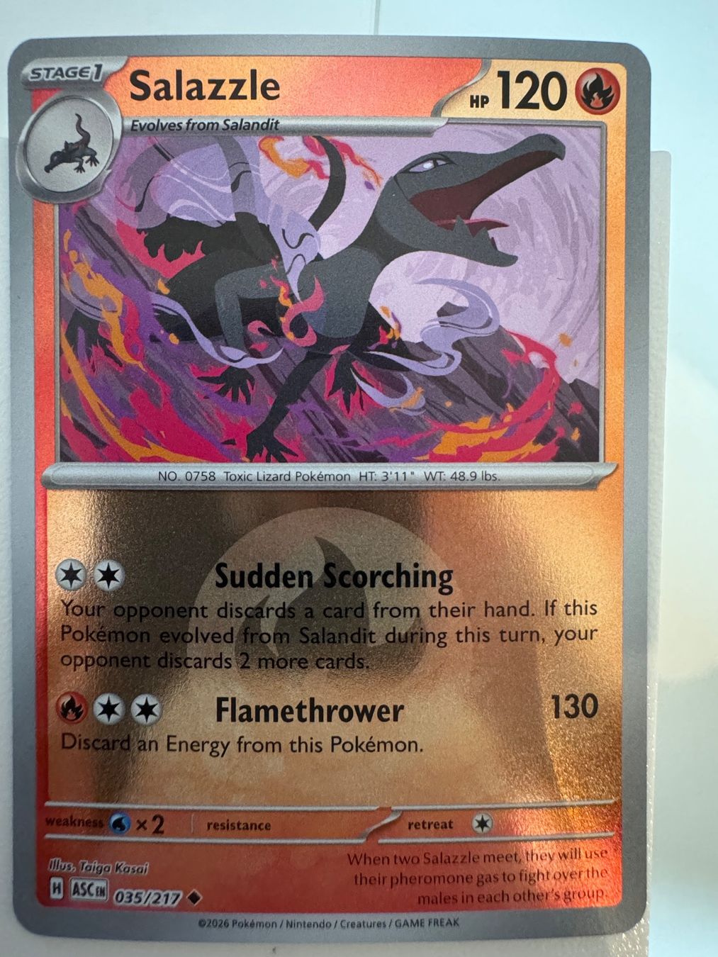 Pokémon Carte collezionabili: Salazzle | 035/217 | Pokémon TCG | Englisch – Nuovo (secondo la descrizione) da Bassersdorf venduto da ero_9zp9