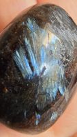 💫 Lot Astrophyllite – Piétersite – Cordiérite (Iolite)