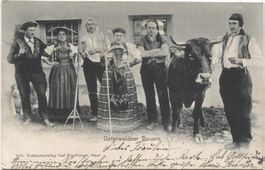 Landwirtschaft/Bauernhaus/Kühe 1903 Nidwalden