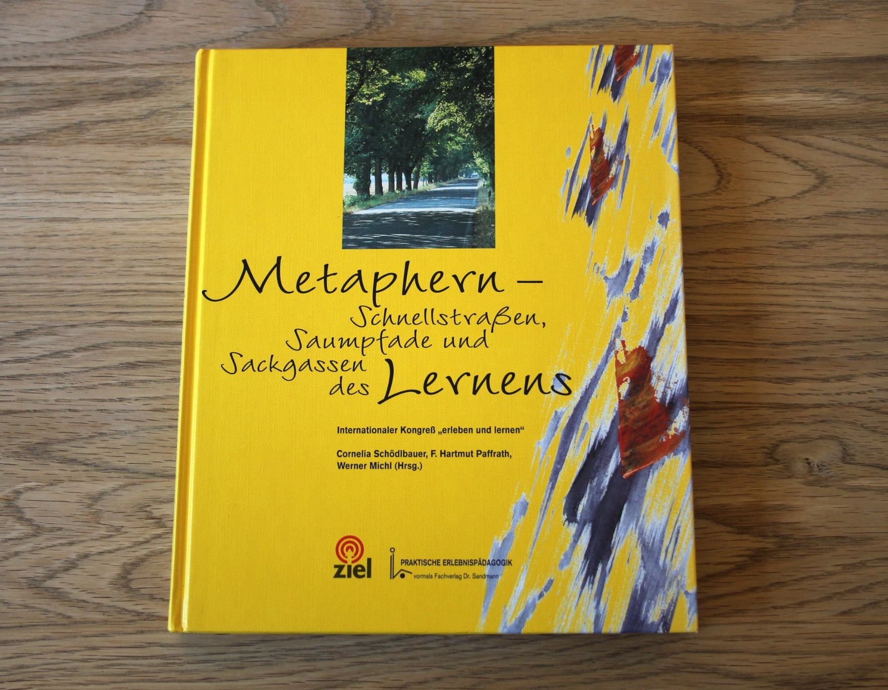 Libri: Metaphern - Schnellstrassen, Saumpfade und Sackgassen – Usato da Thörishaus venduto da kare07
